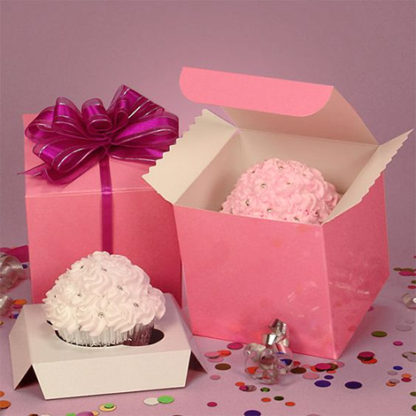 Custom-Cupcake-Boxes