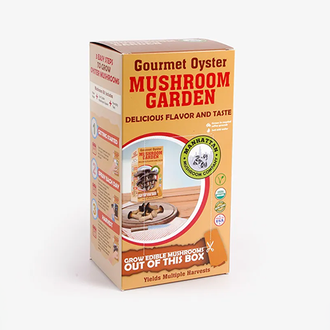 Mushroom Boxes Business