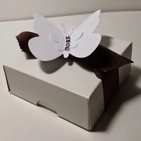 Custom Butterfly Boxes Business