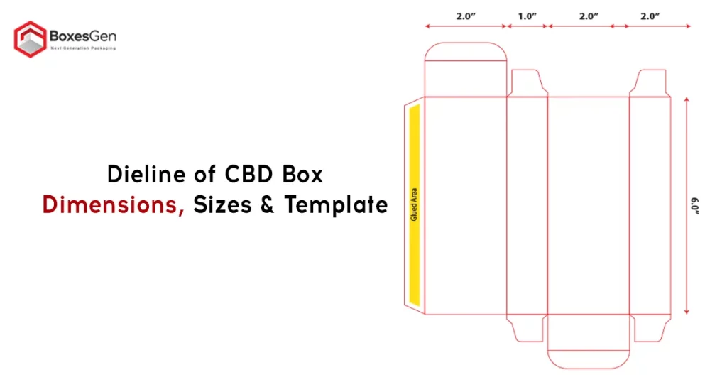 Dieline of CBD Box Dimensions, Sizes & Template