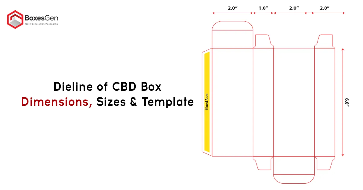 Dieline of CBD Box Dimensions, Sizes & Template