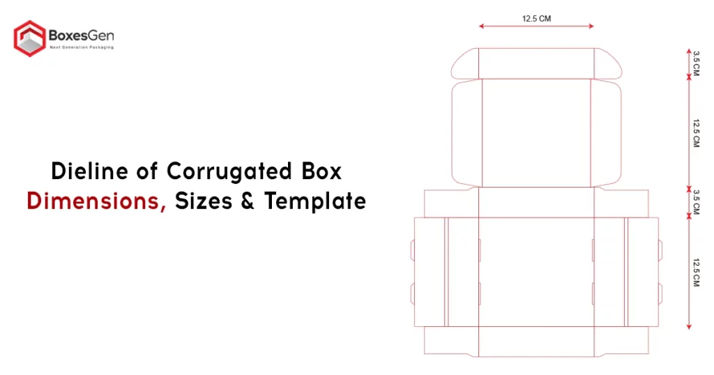 Dieline of Corrugated Box Dimensions, Sizes & Template