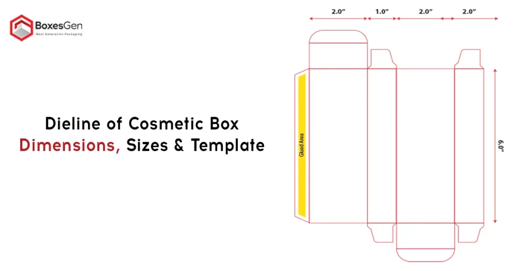 Dieline of Cosmetic Box Dimensions, Sizes & Template