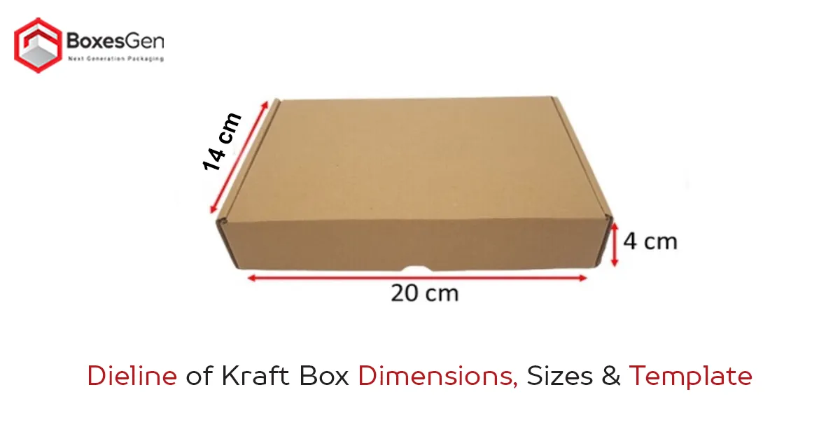 Dieline of Kraft Box Dimensions, Sizes & Template
