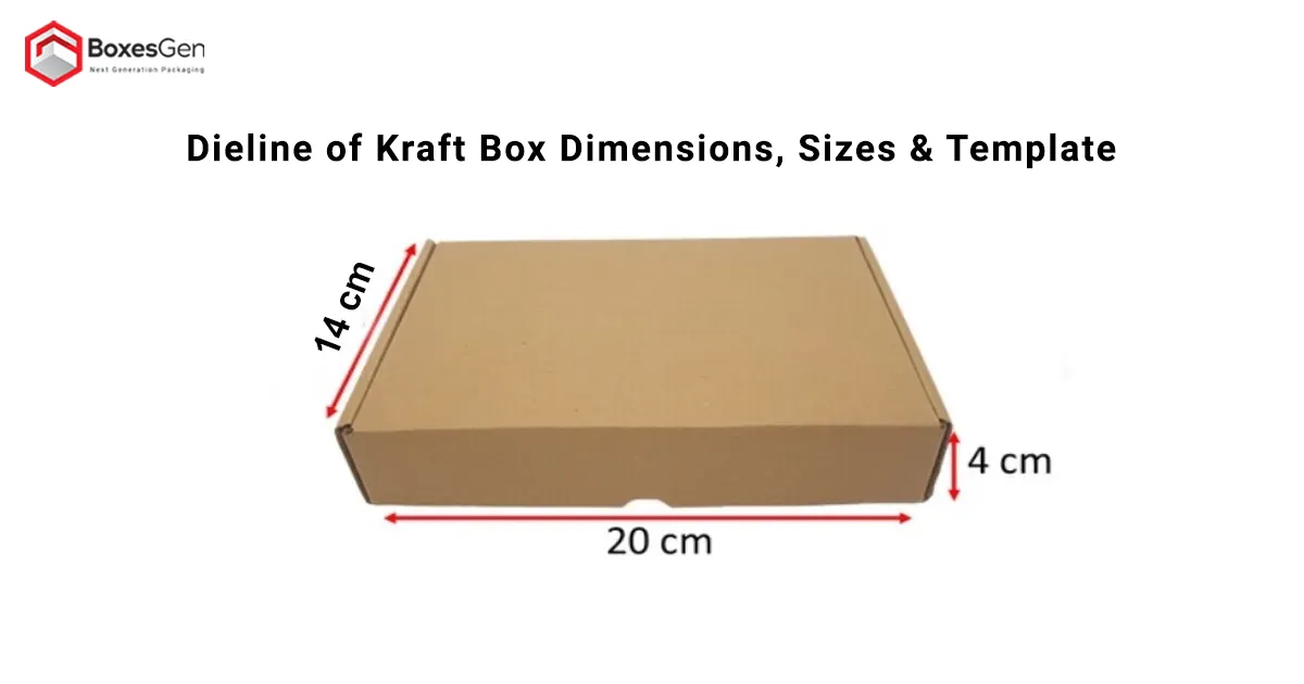 Dieline of Kraft Box Dimensions, Sizes & Template
