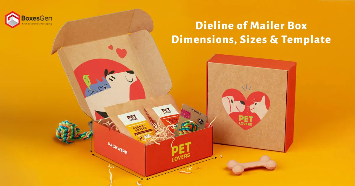 Dieline of Mailer Box Dimensions, Sizes & Template