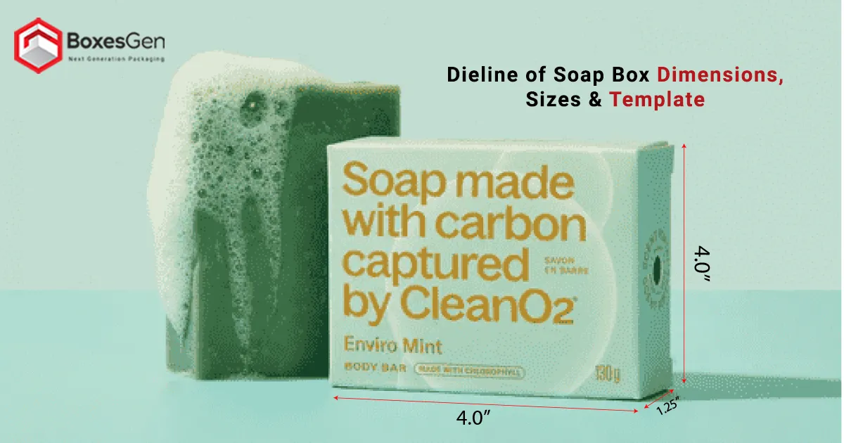 Dieline of Soap Box Dimensions, Sizes & Template
