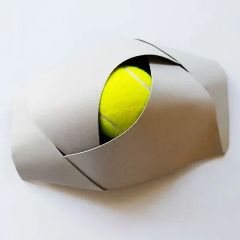 customized tennis ball packaging