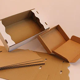 Cardboard