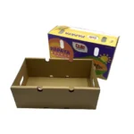 Thumbnail of http://papaya%20wholesale%20packaging