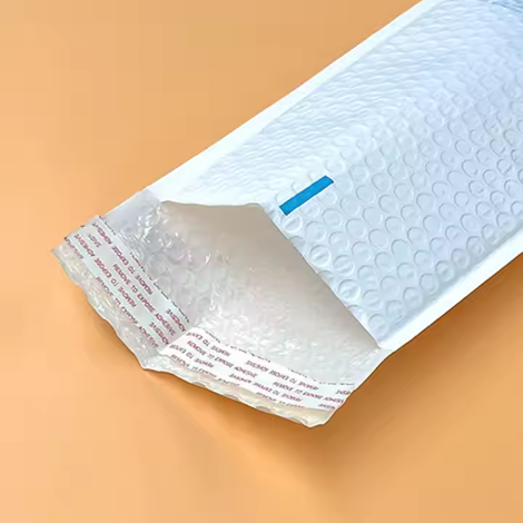 Compostable Mailer